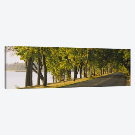 Trees along a road, Lake Washington Boulevard, Seattle, Washington State, USA Canvas Print #PIM2575} by Panoramic Images Canvas Artwork