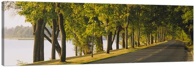 Trees along a road, Lake Washington Boulevard, Seattle, Washington State, USA Canvas Art Print - Seattle Art