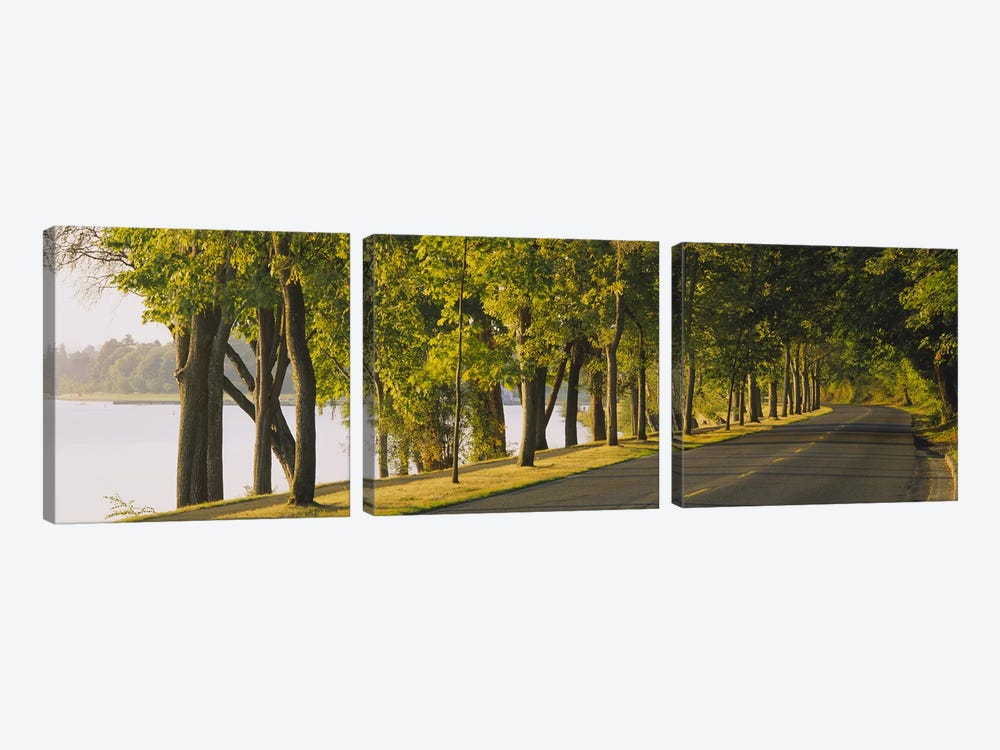 Trees along a road, Lake Washington Boulevard, Seattle, Washington State, USA by Panoramic Images 3-piece Canvas Wall Art