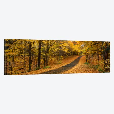 Autumn Road, Emery Park, New York State, USA Canvas Print #PIM257} by Panoramic Images Canvas Art