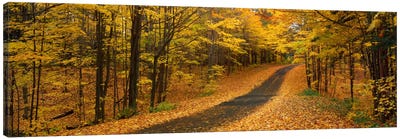 Autumn Road, Emery Park, New York State, USA Canvas Art Print - Nature Panoramics