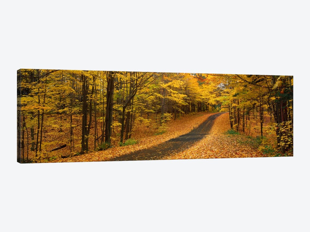 Autumn Road, Emery Park, New York State, USA by Panoramic Images 1-piece Canvas Art Print