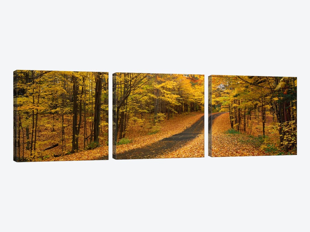 Autumn Road, Emery Park, New York State, USA by Panoramic Images 3-piece Canvas Print
