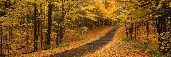 Trails, Paths & Roads: Autumn Road, Emery Park, New York State, USA by Panoramic Images