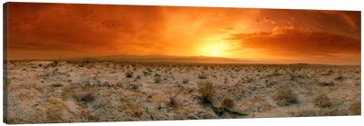 Desert Sunset, Palm Springs, Riverside County, California, USA Canvas Art Print - Palm Springs Art