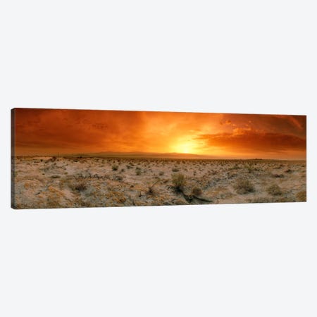 Desert Sunset, Palm Springs, Riverside County, California, USA Canvas Print #PIM25} by Panoramic Images Art Print