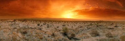 Desert Sunset, Palm Springs, Riverside County, California, Art Print