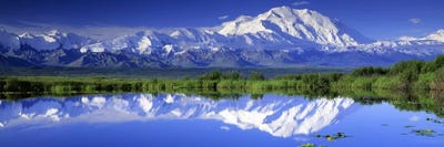 Denali (Mount McKinley), Denali National Park & Preserve, Alaska, USA by Panoramic Images multi panel art