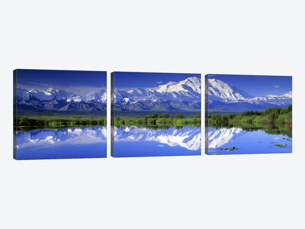 Denali (Mount McKinley), Denali National Park & Preserve, Alaska, USA by Panoramic Images 3-piece Art Print