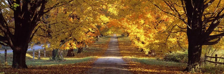 Road, Baltimore County, Maryland, USA by Panoramic Images wall art