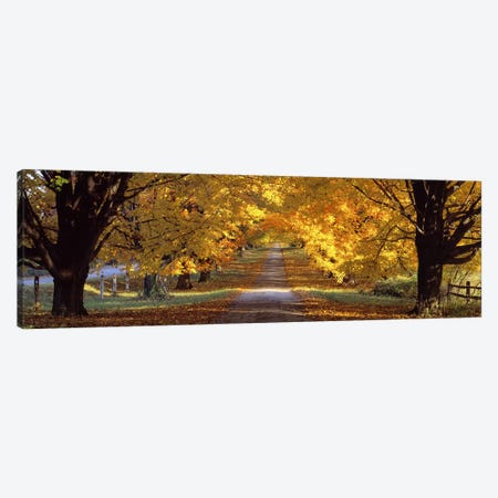 Road, Baltimore County, Maryland, USA Canvas Print #PIM2659} by Panoramic Images Canvas Artwork