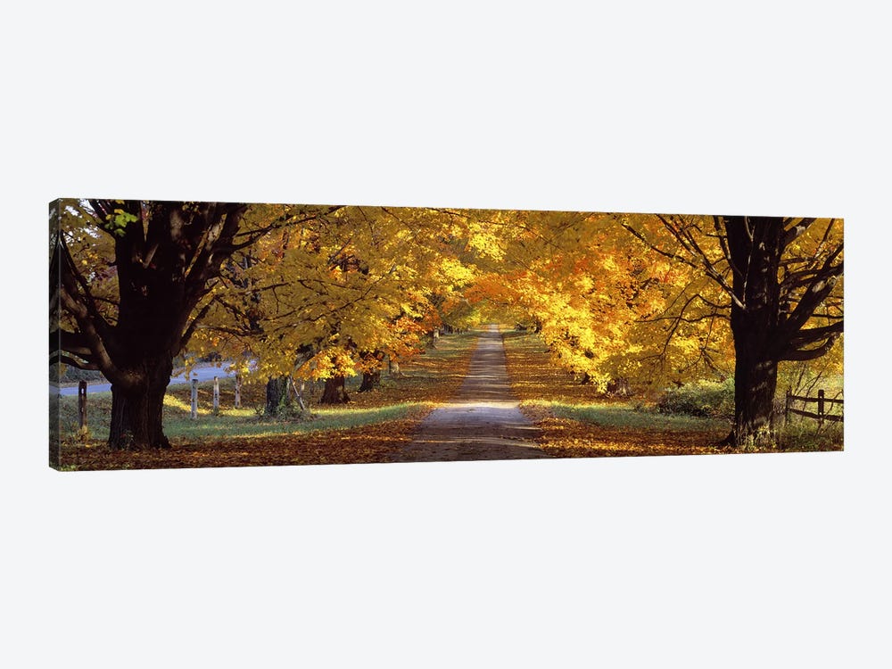 Road, Baltimore County, Maryland, USA by Panoramic Images 1-piece Canvas Art
