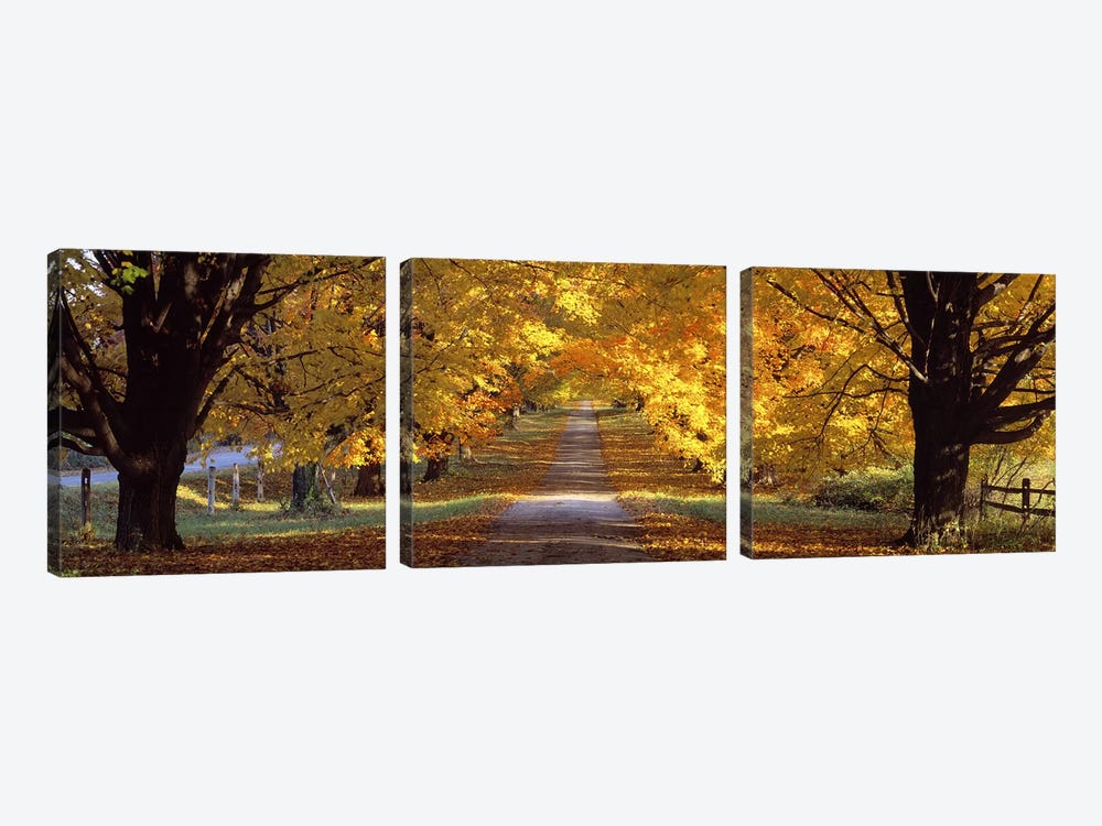 Road, Baltimore County, Maryland, USA by Panoramic Images 3-piece Canvas Artwork