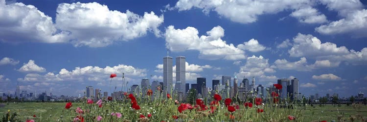 Flowers in a park with buildings in the background, Manhattan, New York City, New York State, USA