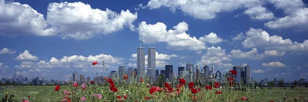 Flowers in a park with buildings in the background, Manhattan, New York City, New York State, USA