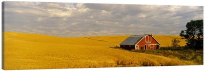 Barn in a wheat field, Palouse, Washington State, USA Canvas Art Print - Country Scenic Photography