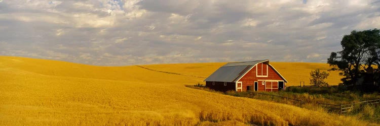 Barn in a wheat field, Palouse, Washington State, USA