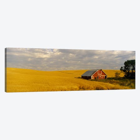 Barn in a wheat field, Palouse, Washington State, USA Canvas Print #PIM2669} by Panoramic Images Art Print