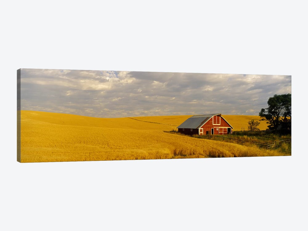 Barn in a wheat field, Palouse, Washington State, USA by Panoramic Images 1-piece Art Print