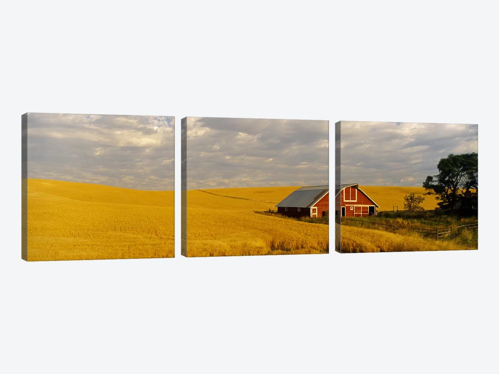 Barn in a wheat field, Palouse, Washington State, USA by Panoramic Images 3-piece Art Print