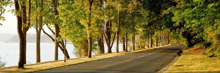 Trees on both sides of a road, Lake Washington Boulevard, Seattle, Washington State, USA