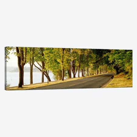 Trees on both sides of a road, Lake Washington Boulevard, Seattle, Washington State, USA Canvas Print #PIM2671} by Panoramic Images Canvas Art