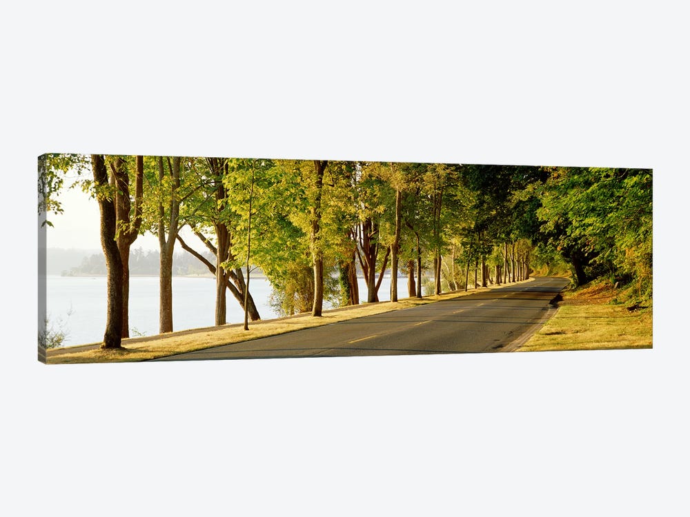 Trees on both sides of a road, Lake Washington Boulevard, Seattle, Washington State, USA by Panoramic Images 1-piece Canvas Wall Art