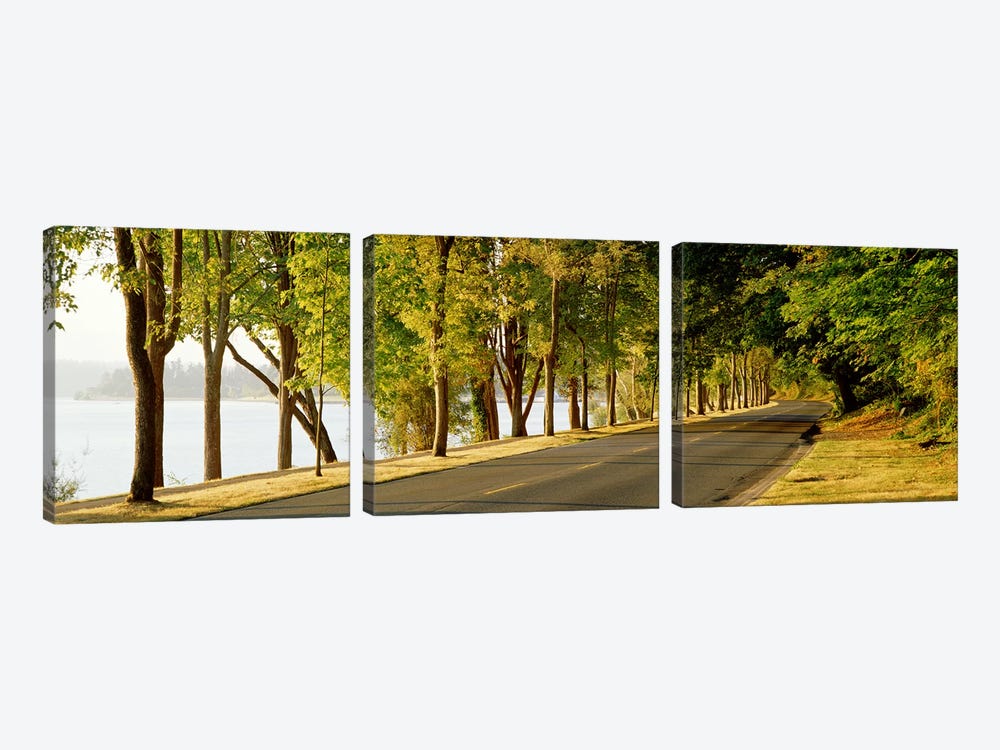 Trees on both sides of a road, Lake Washington Boulevard, Seattle, Washington State, USA by Panoramic Images 3-piece Canvas Art