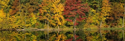 Reflection of trees in water Saratoga Springs, New York City, New York State, USA by Panoramic Images canvas print