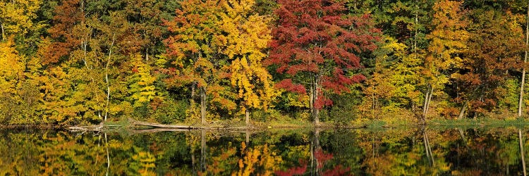 Reflection of trees in water Saratoga Springs, New York City, New York State, USA