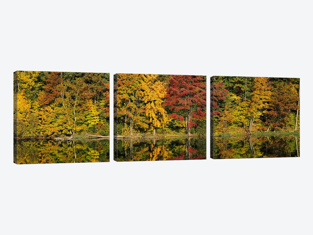 Reflection of trees in water Saratoga Springs, New York City, New York State, USA by Panoramic Images 3-piece Art Print
