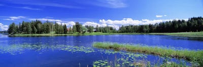 Sunny Daytime Landscape, Finnish Lakeland, Finland by Panoramic Images multi panel art