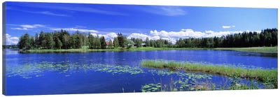 Sunny Daytime Landscape, Finnish Lakeland, Finland Canvas Art Print