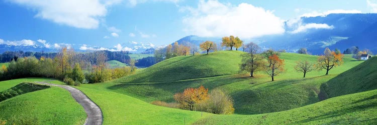 Rolling Countryside Landscape, Zug, Switzerland