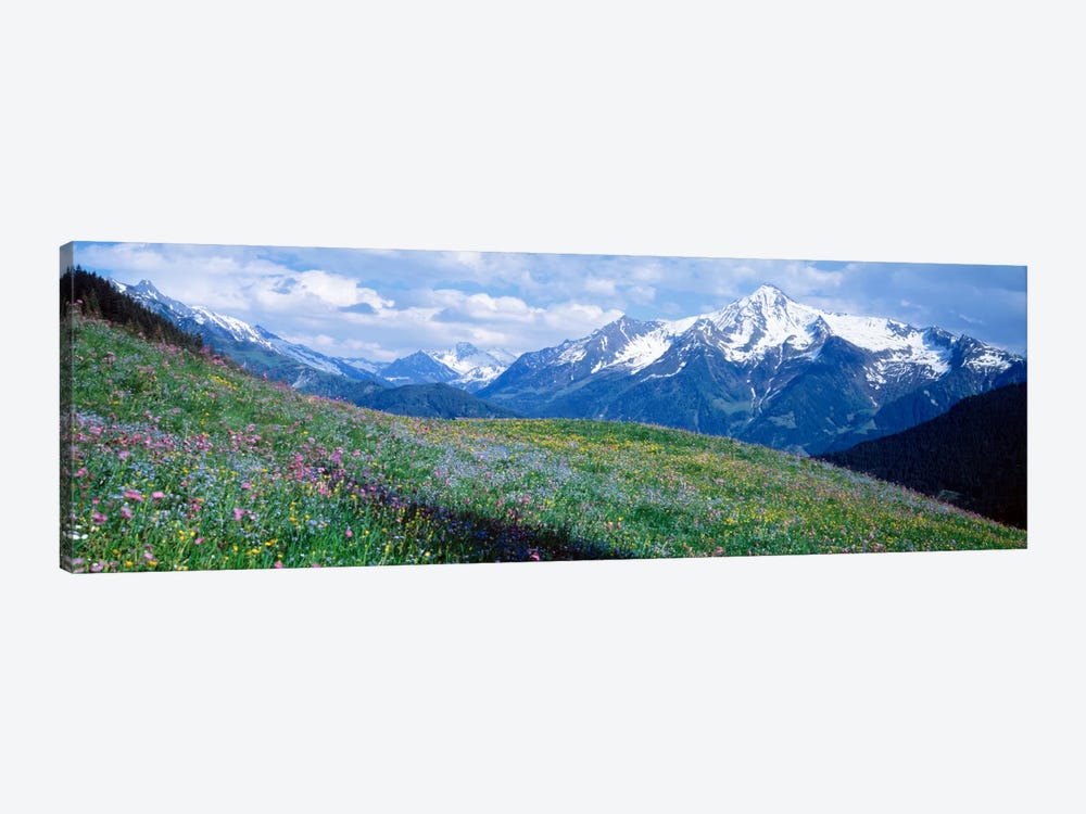 Mountainside Wildflowers, Zillertal Alps, Austria by Panoramic Images 1-piece Canvas Wall Art
