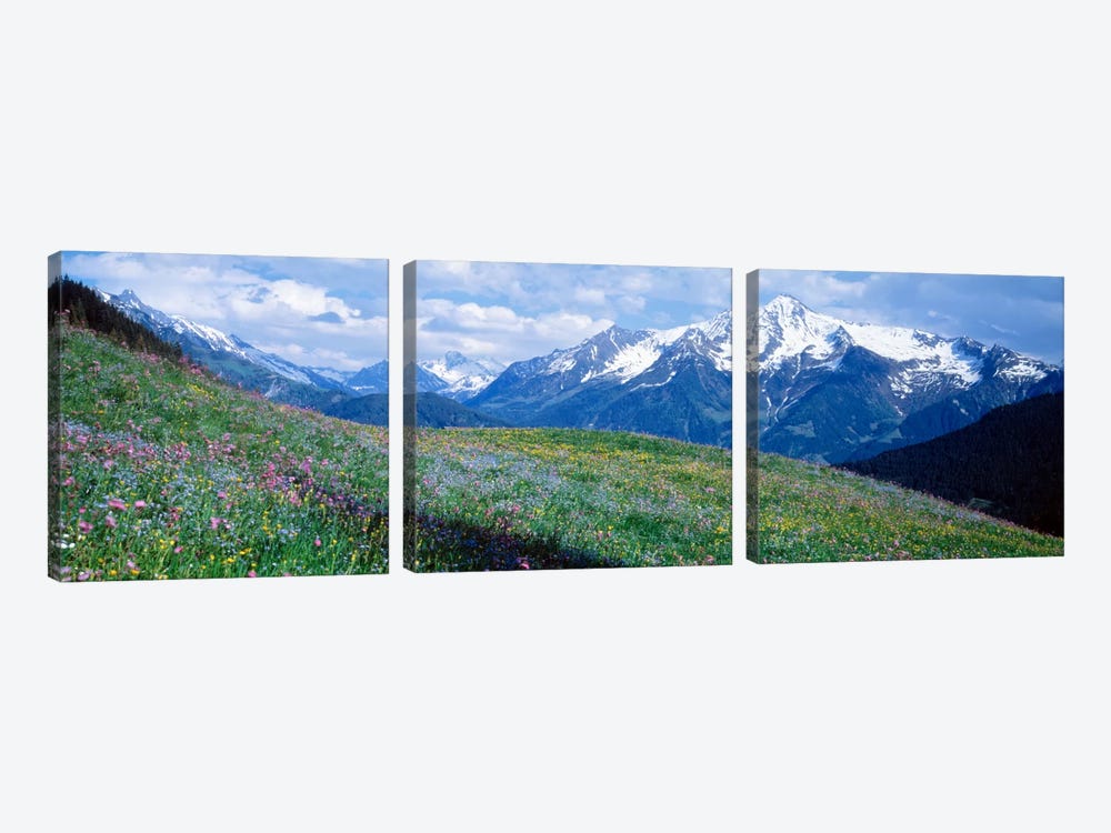 Mountainside Wildflowers, Zillertal Alps, Austria by Panoramic Images 3-piece Canvas Artwork
