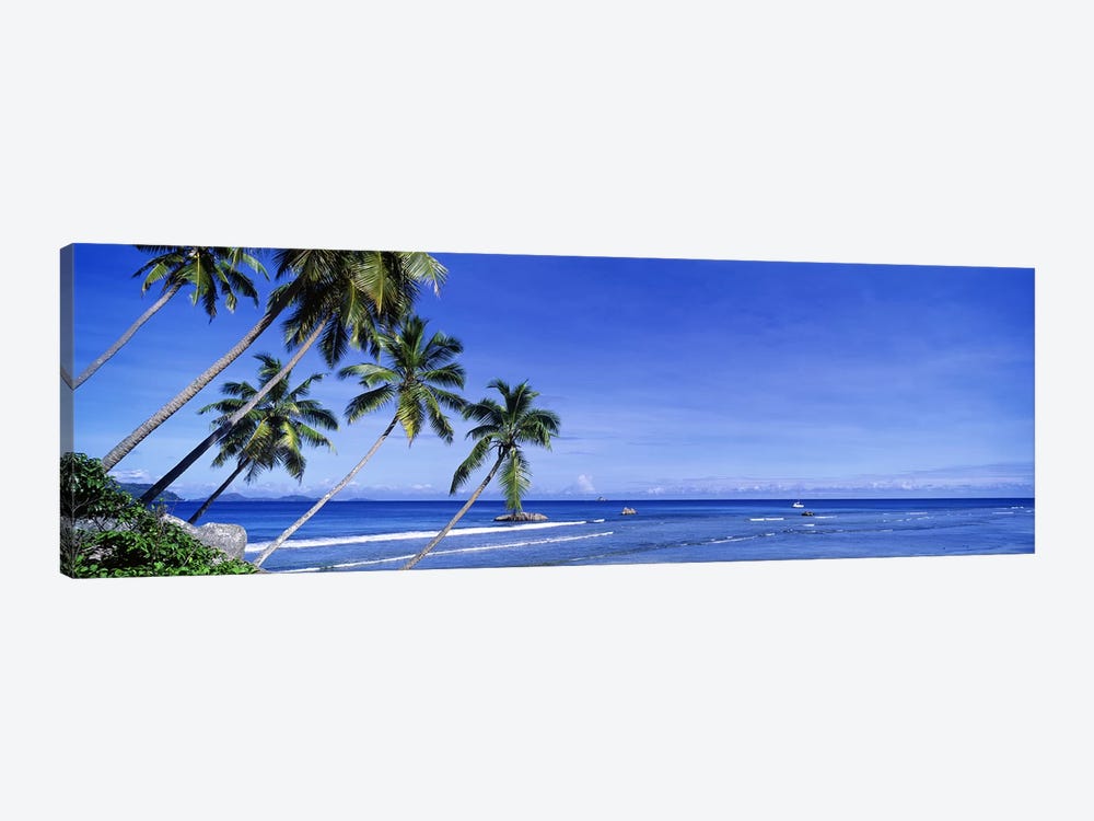 Coastal Palms, La Digue, Republic Of Seychelles by Panoramic Images 1-piece Canvas Art