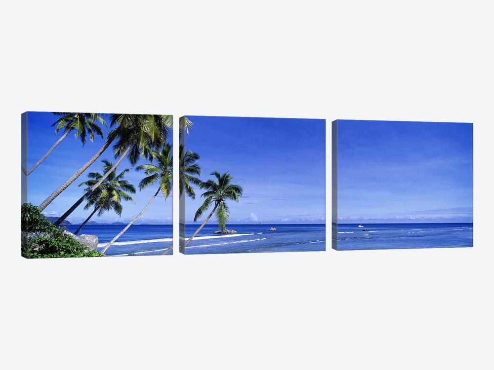 Coastal Palms, La Digue, Republic Of Seychelles by Panoramic Images 3-piece Canvas Wall Art