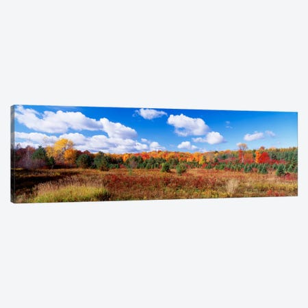 Autumnal Wooded Landscape, New York, USA Canvas Print #PIM270} by Panoramic Images Art Print