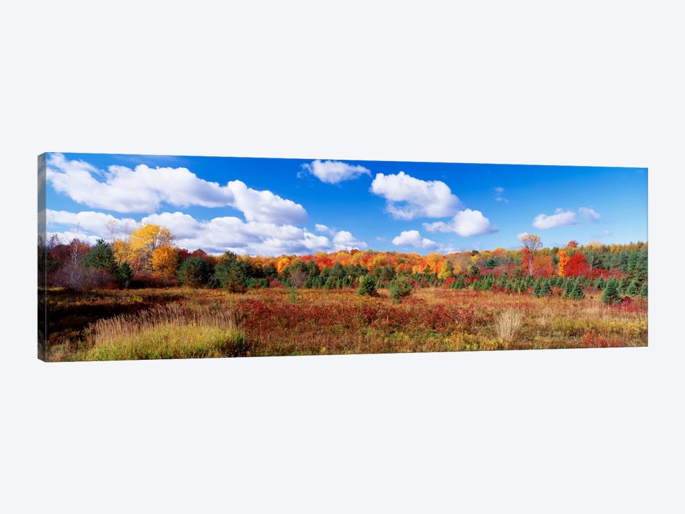 Autumnal Wooded Landscape, New York, USA by Panoramic Images 1-piece Canvas Art