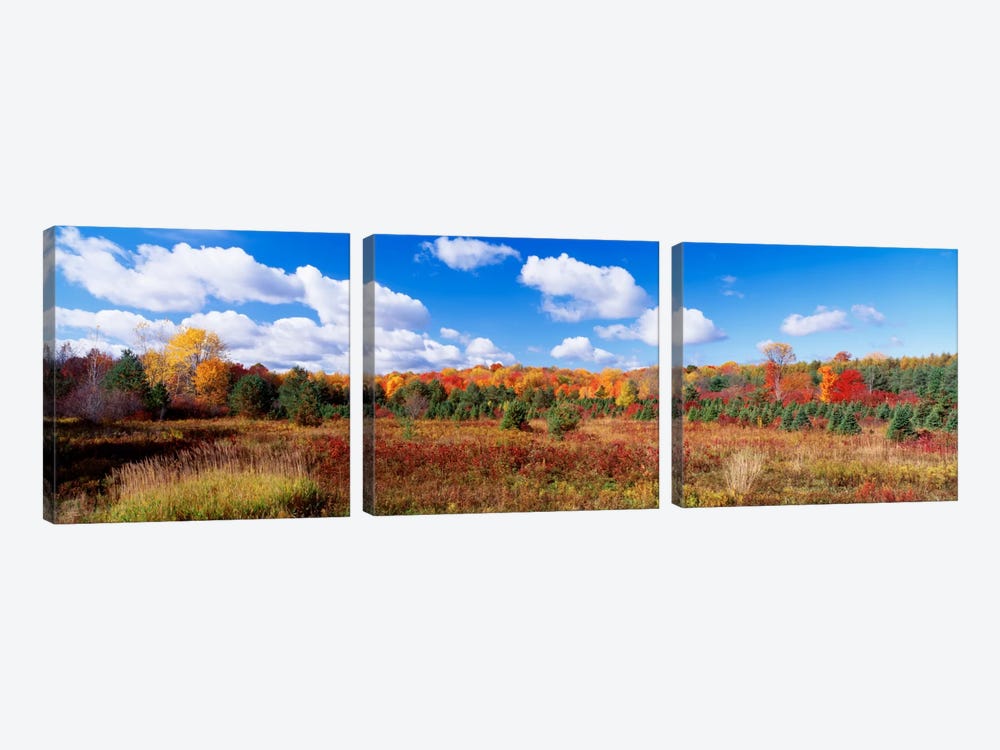 Autumnal Wooded Landscape, New York, USA by Panoramic Images 3-piece Canvas Art