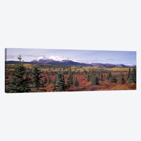 Forested Landscape, Yukon Territory, Canada Canvas Print #PIM2719} by Panoramic Images Art Print
