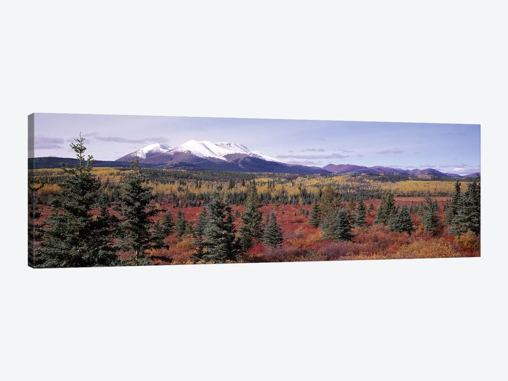 Forested Landscape, Yukon Territory, Canada by Panoramic Images 1-piece Canvas Art Print