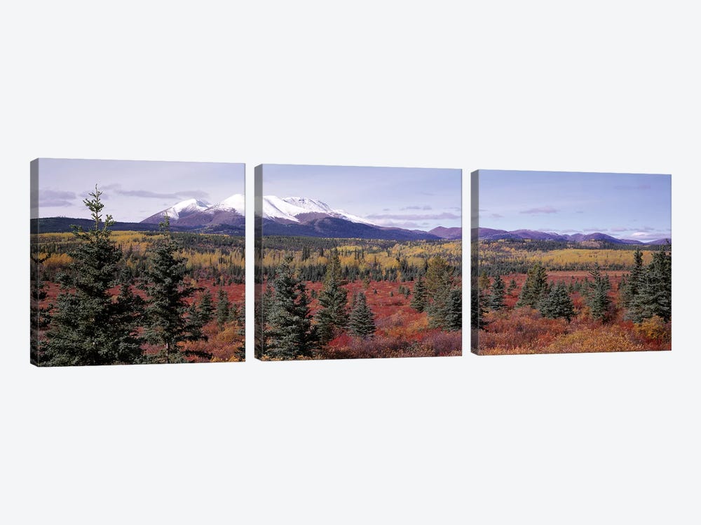 Forested Landscape, Yukon Territory, Canada by Panoramic Images 3-piece Canvas Print