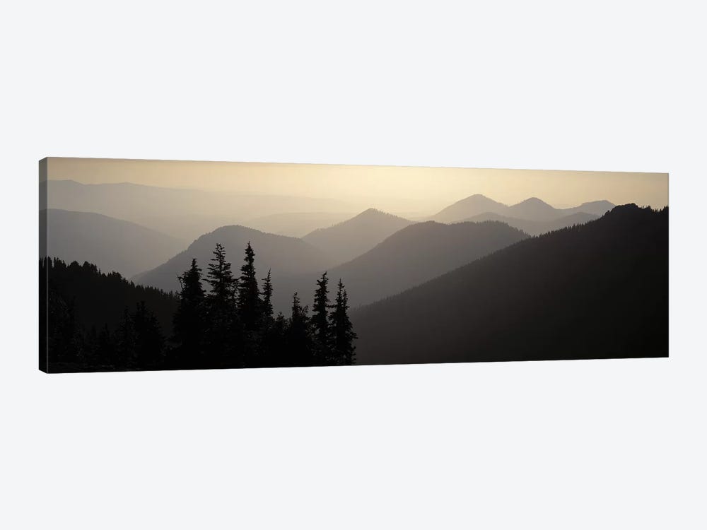 Mount Rainier National Park WA USA 1-piece Canvas Wall Art