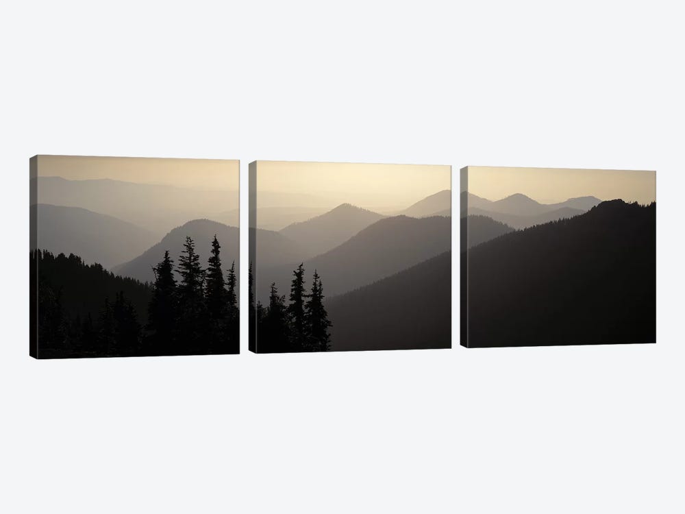 Mount Rainier National Park WA USA 3-piece Canvas Artwork