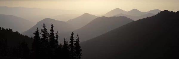 Panoramic Images: Mount Rainier National Park WA USA by Panoramic Images