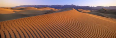 Windswept Sand Dunes, Death Valley National Park, USA by Panoramic Images canvas print