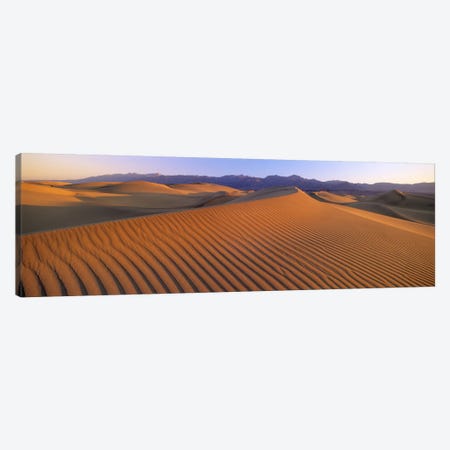 Windswept Sand Dunes, Death Valley National Park, USA Canvas Print #PIM2734} by Panoramic Images Canvas Art