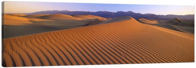 Windswept Sand Dunes, Death Valley National Park, USA Canvas Art Print - Death Valley National Park Art
